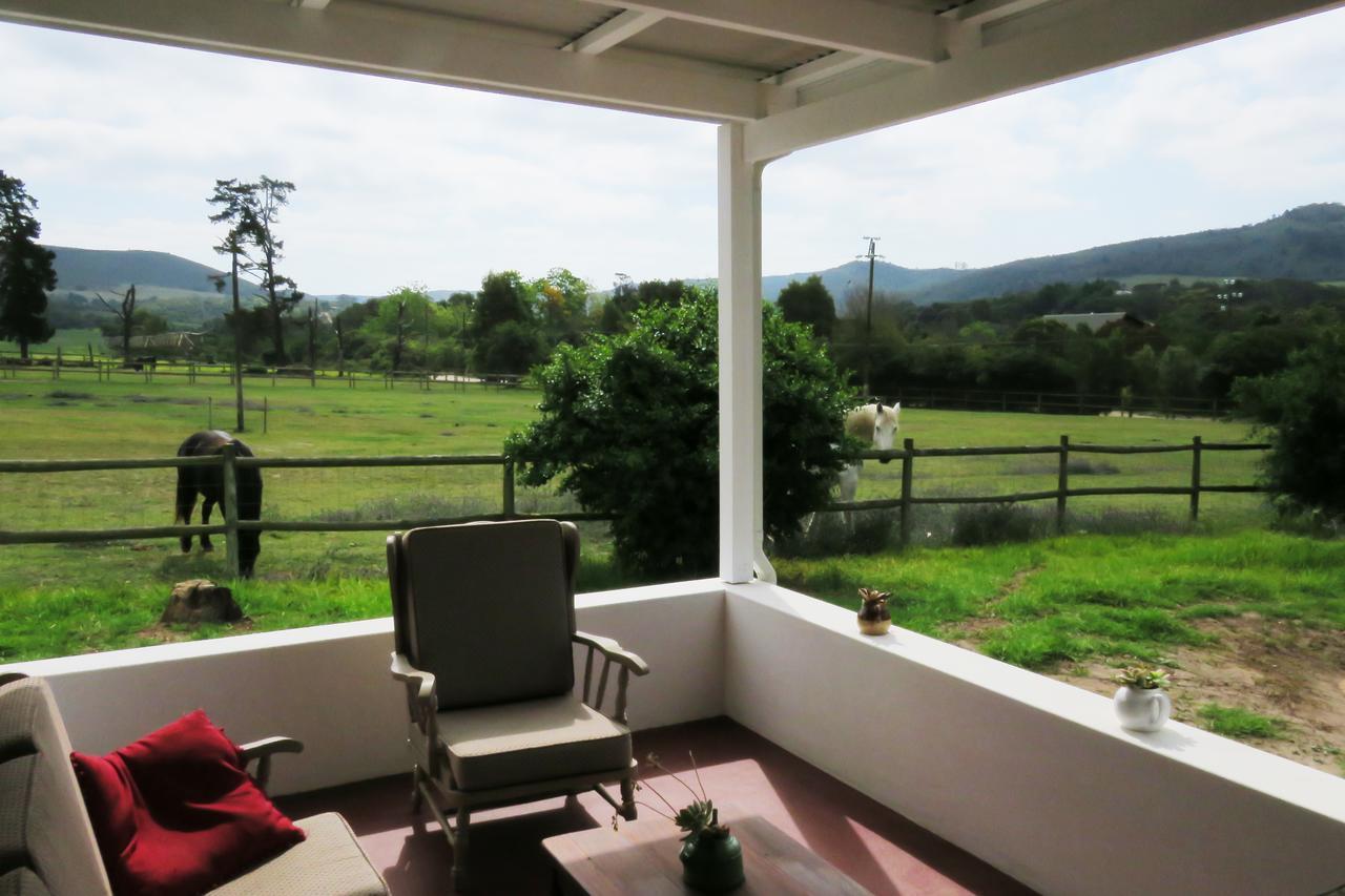 Out Of Plett Villa Plettenberg Bay Luaran gambar